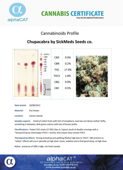 Featured Image of Chupacabra
