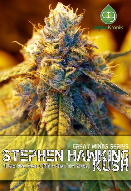 Featured Image of Stephen Hawking Kush
