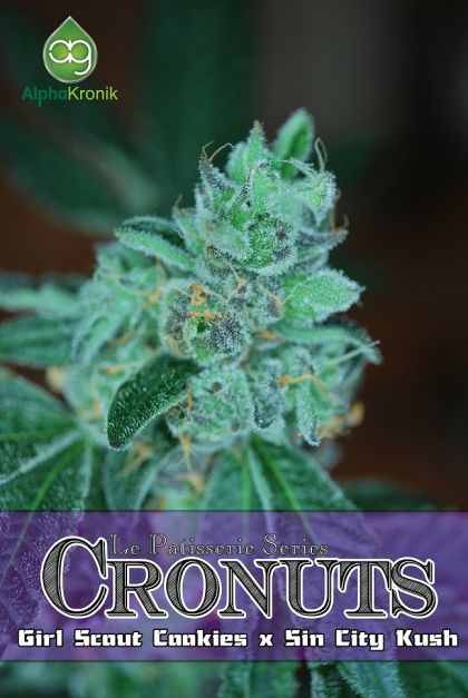 Featured Image of Cronuts
