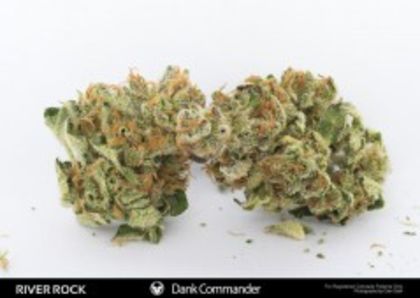 Featured Image of Dank Commander