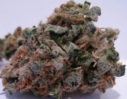 Featured Image of 707 Headband