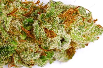 Featured Image of Super Sour Og