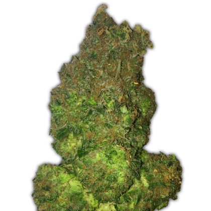 Featured Image of Auto Fruit Punch