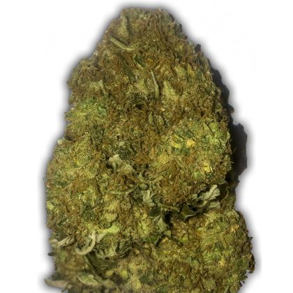 Featured Image of Auto Skunky Monkey