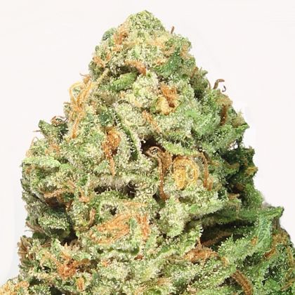Featured Image of Fruit Punch