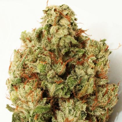 Featured Image of Green Ninja