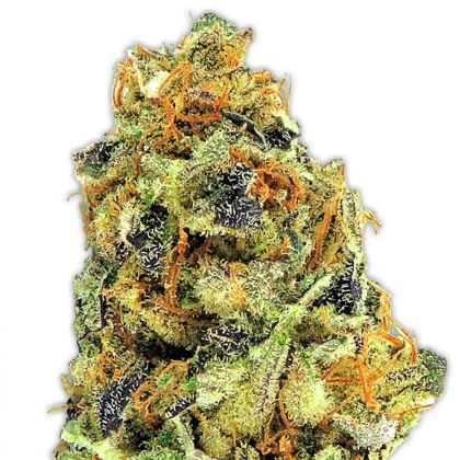 Featured Image of K.O. Kush