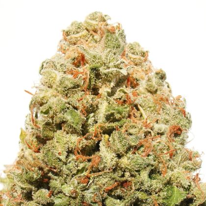 Featured Image of Strawberry Cake