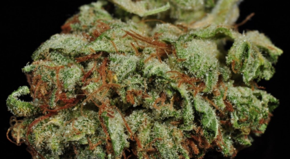 Featured Image of Lemon Cream