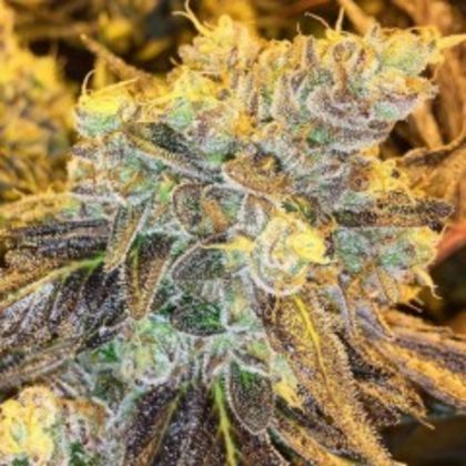 Featured Image of Headstash