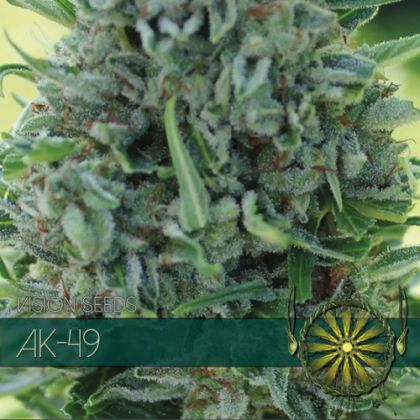 Featured Image of Ak-49