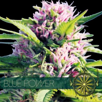 Featured Image of Blue Power