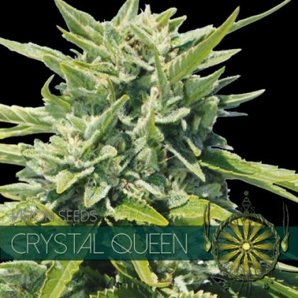 Featured Image of Crystal Queen