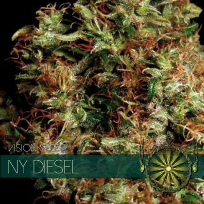 Featured Image of Ny Diesel