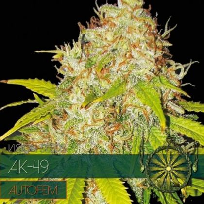 Featured Image of Ak-49 Auto