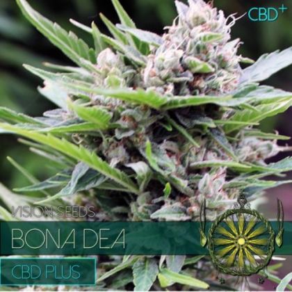 Featured Image of Bona Dea Cdb+