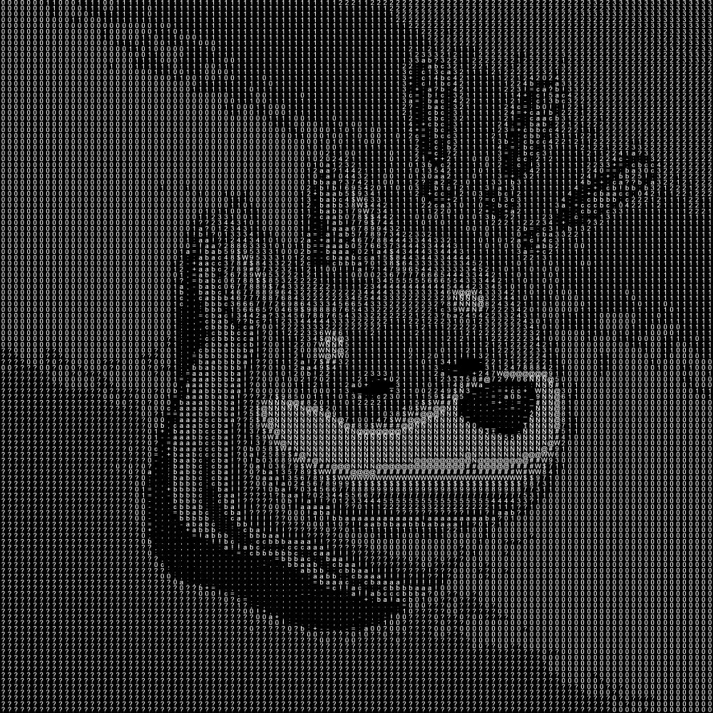 Rima code $BONK