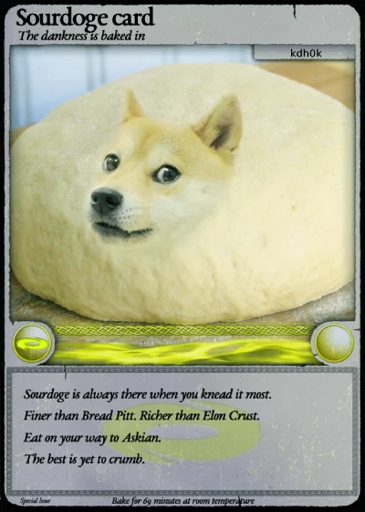 SOURDOGE