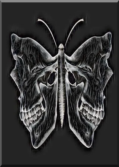 SKULLEVOLXRY