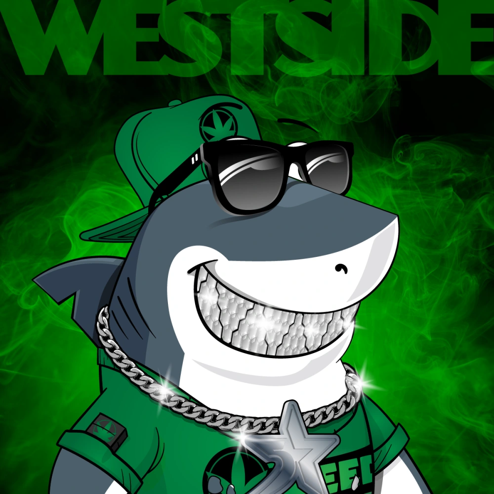 SharkBros x E #12/25