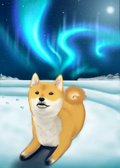 NORTHERNDOGE