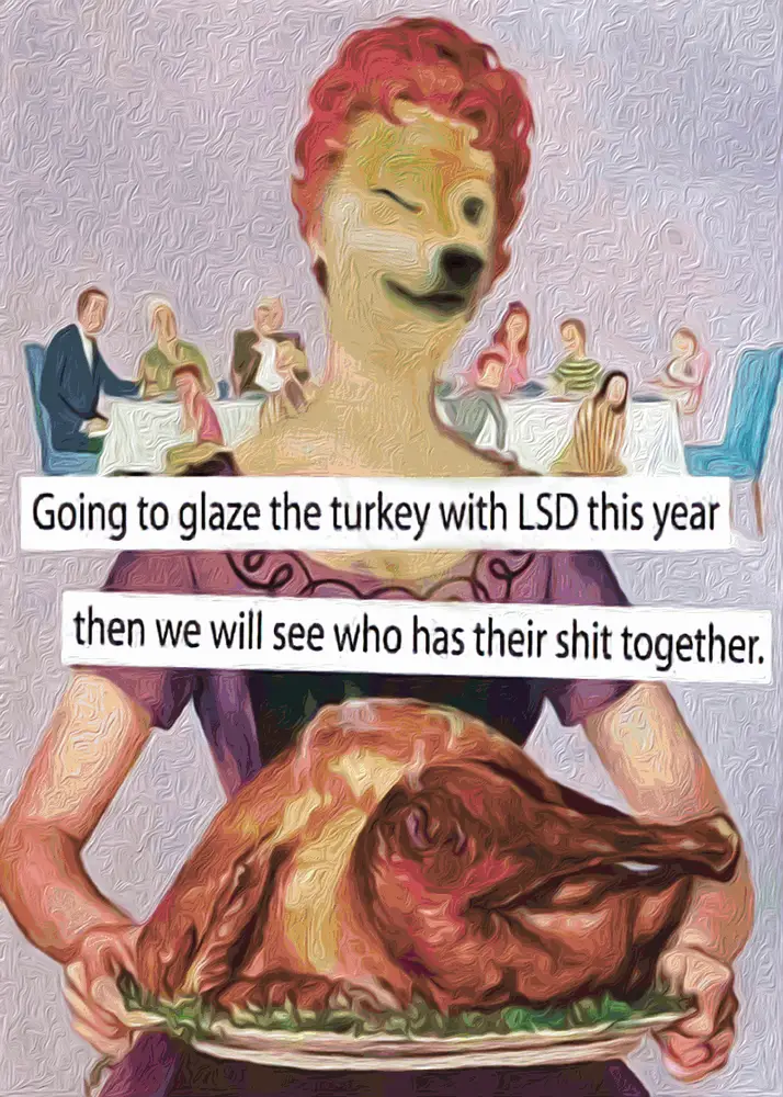 LYSERGICDOGE.TURKEY