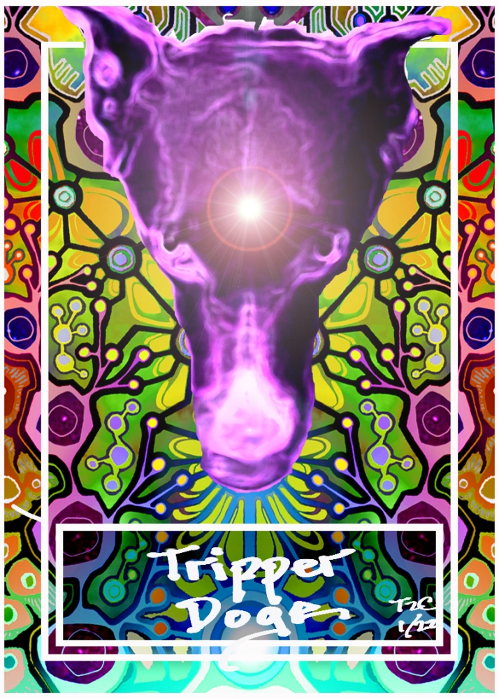 TRIPPERDOGE