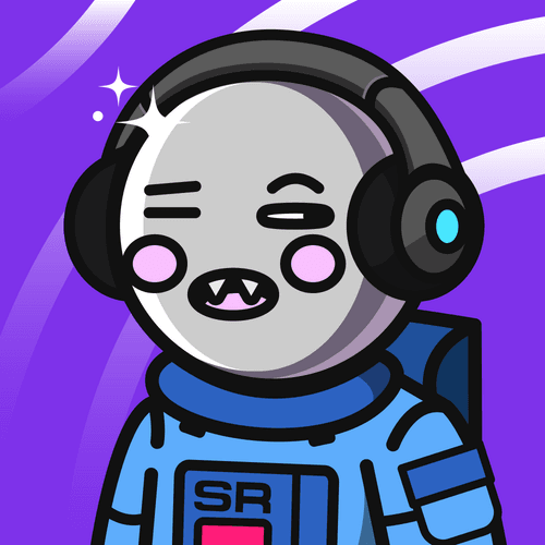 Space Rider #8325