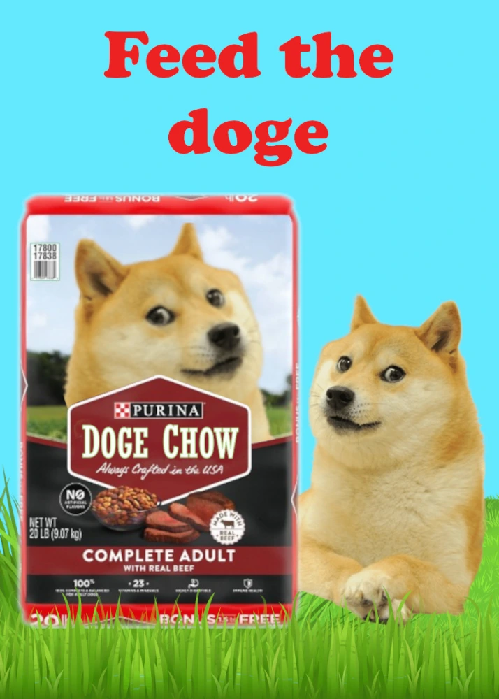 DOGECHOW