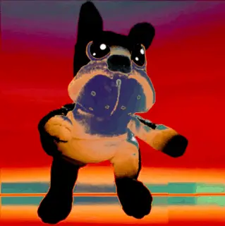 The Dog In The Floor