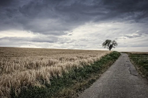 Mysterious Journey of Life 01