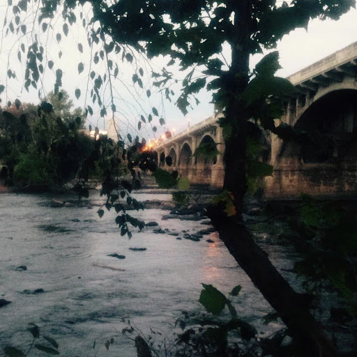 The Congaree at Gervais