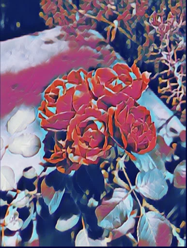 the seasons progression manifested in growth