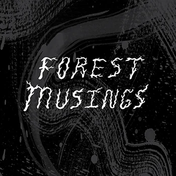 Forest Musings 01