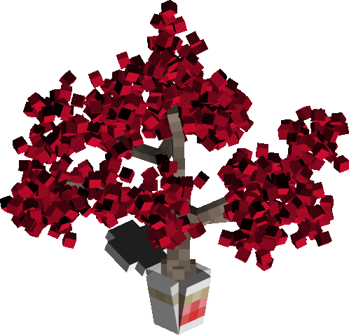 Cup Bonsai
