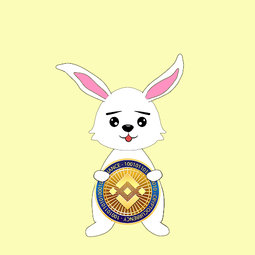 BNB funny bunny