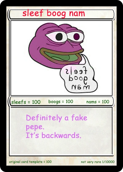 SLEEFBOOGNAM