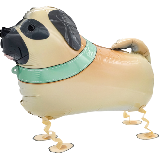 Foliopallo Riethmüller kävelevä koira