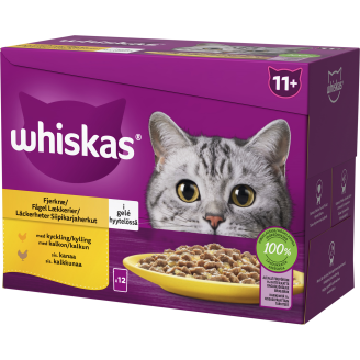 Kissanruoka Whiskas 12 x 85 g 11+ Siipikarjaherkut hyytelössä