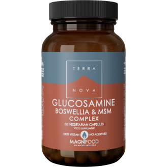 Glucosamiini Terranova 50 kpl Boswellia & MSM Complex