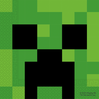 Lautasliina Decorata Party 16 kpl 33 x 33 cm Minecraft