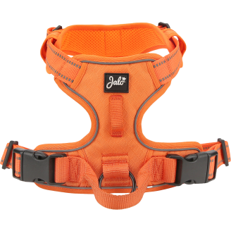 Koiran valjaat Jalo Timmi oranssi