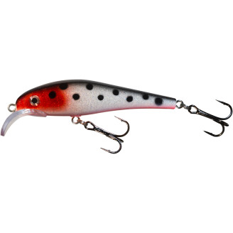 Vaappu Jesse, 8 cm