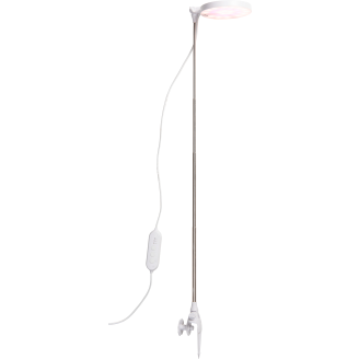 Kasvivalo Airam Rose 10E 290lm USB