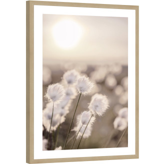 Taulukehys Kotikulta 50 x 70 cm Heinät