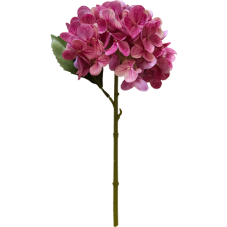 Hortensia Kotikulta 32 cm pinkki