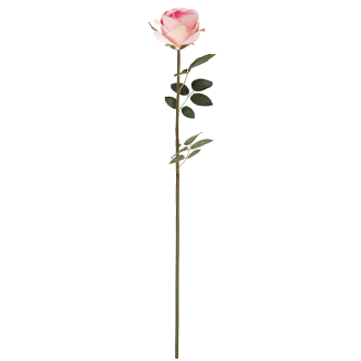 Ruusu Kotikulta 59 cm vaaleanpunainen