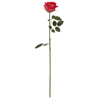 Ruusu Kotikulta 59 cm punainen