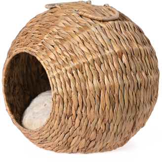 Kissan maja Jalo vesihyasintti