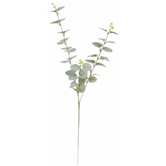 Eukalyptusoksa Kotikulta 74 cm